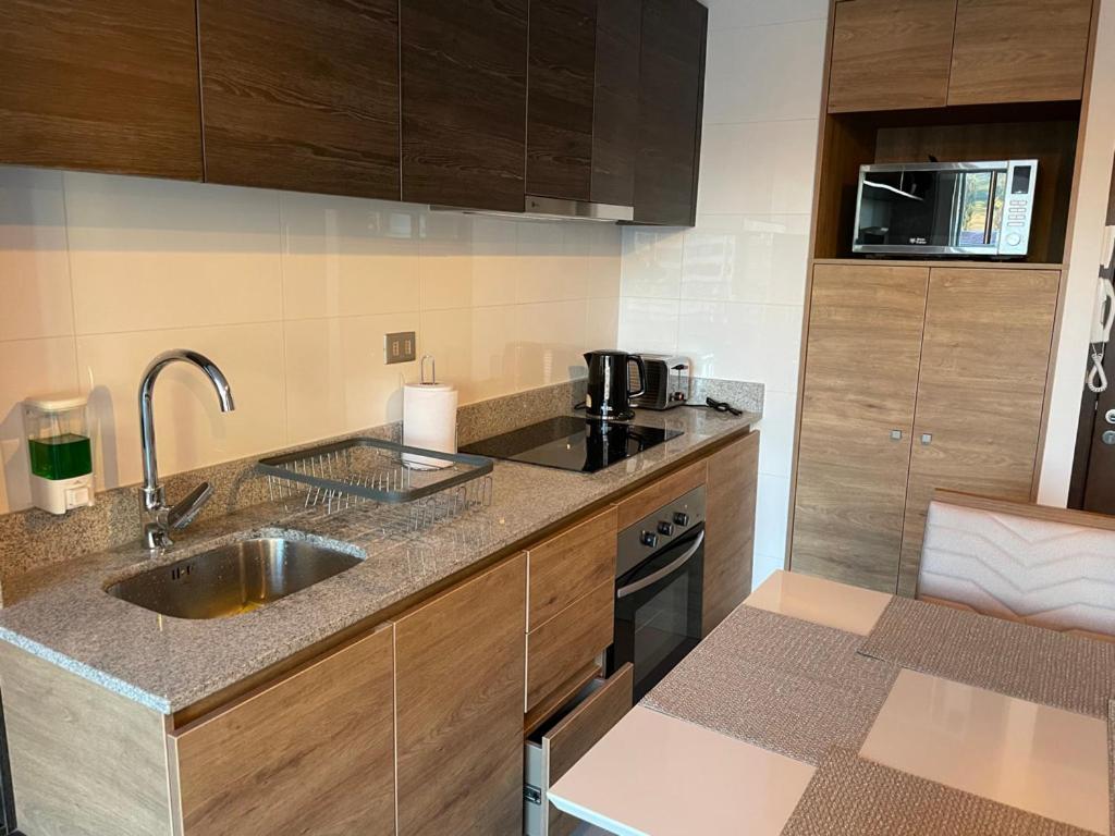 Apartamentos Concepcion Centro Экстерьер фото