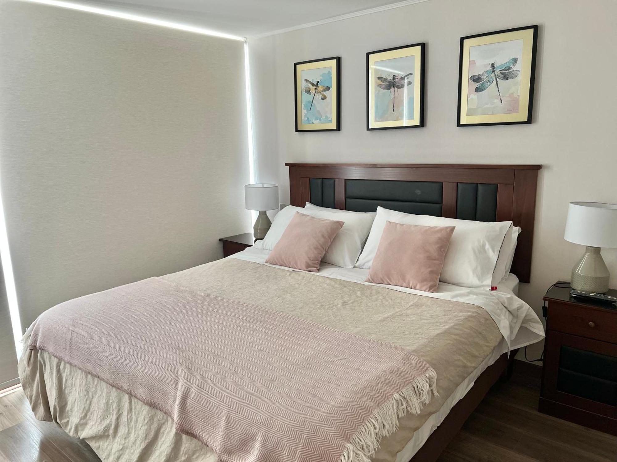 Apartamentos Concepcion Centro Экстерьер фото