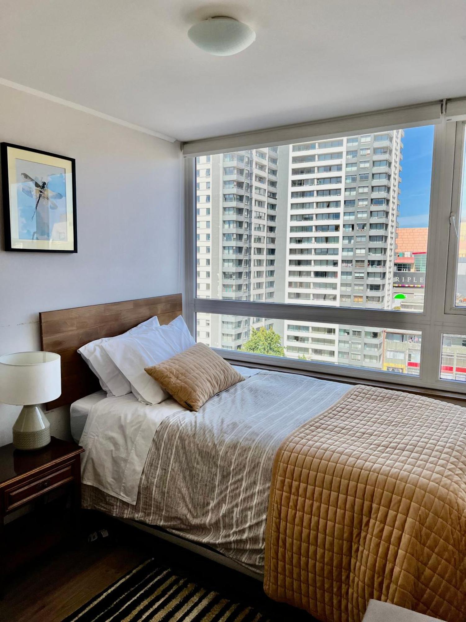 Apartamentos Concepcion Centro Экстерьер фото