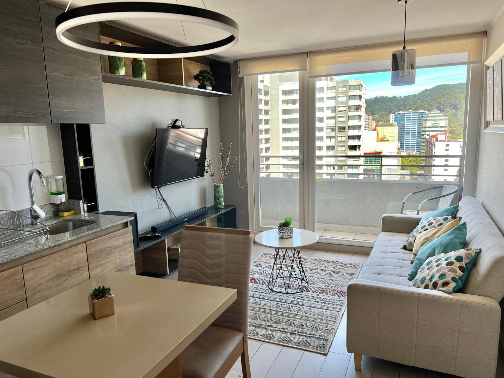 Apartamentos Concepcion Centro Экстерьер фото