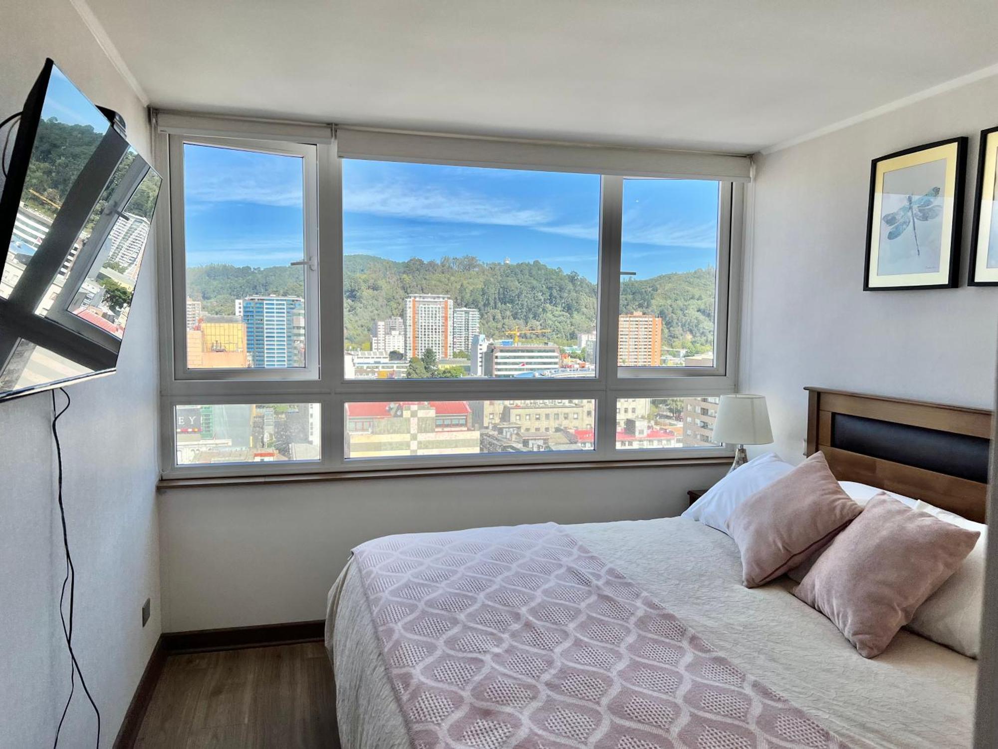 Apartamentos Concepcion Centro Экстерьер фото