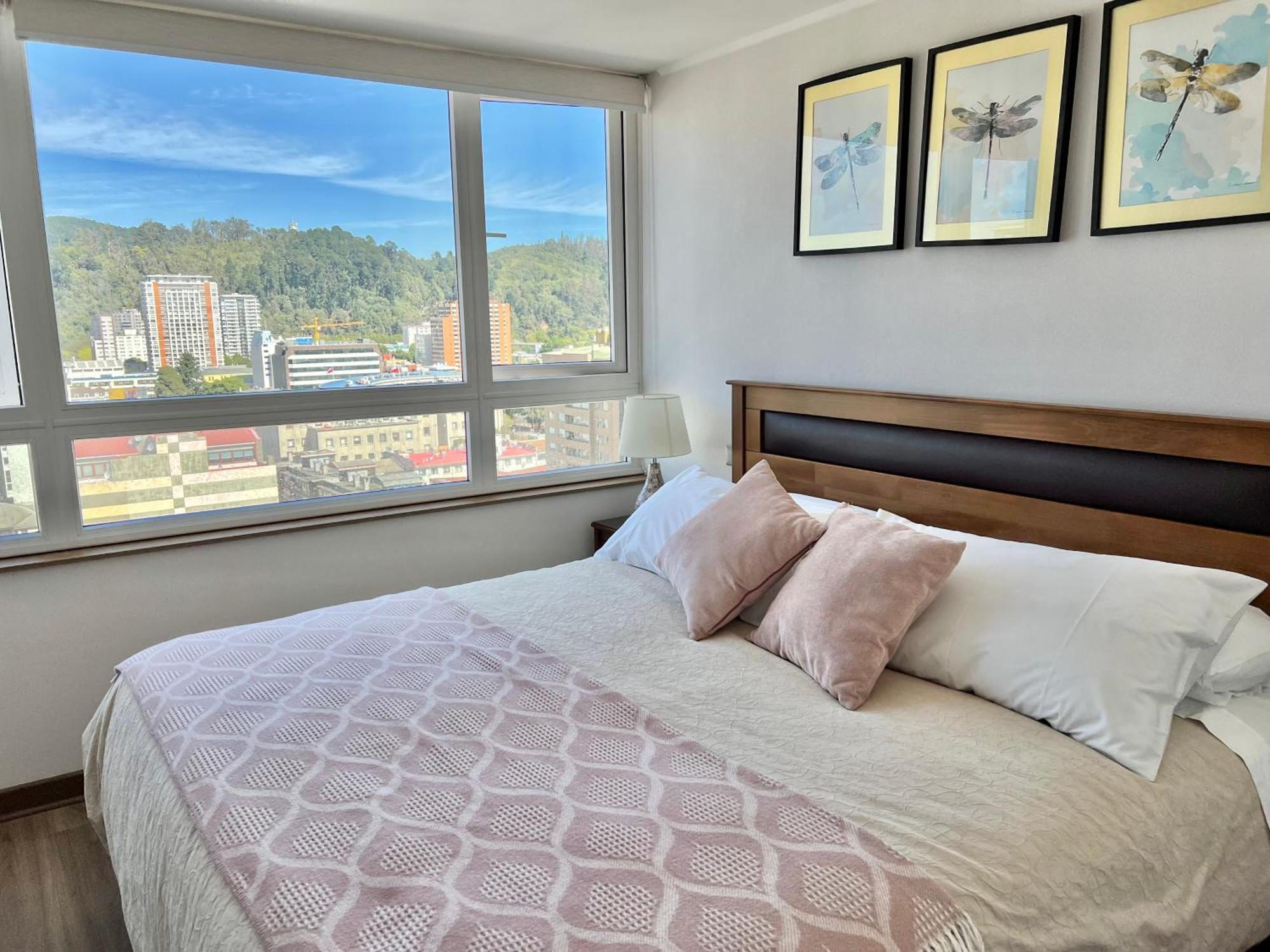 Apartamentos Concepcion Centro Экстерьер фото